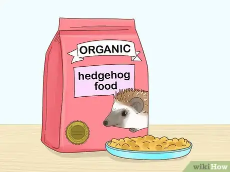 Imagen titulada Take Care of a Hedgehog Step 11