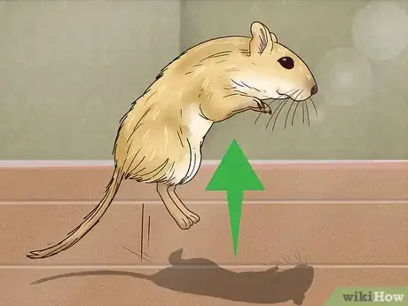 Imagen titulada Understand Gerbil Body Language Step 1