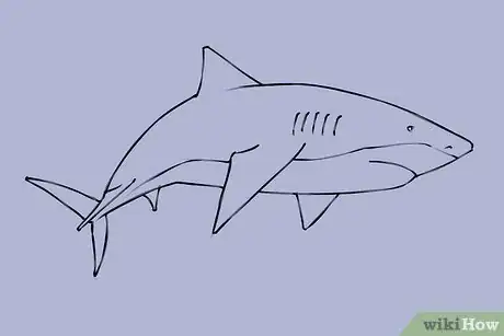 Imagen titulada Draw a Shark Step 19