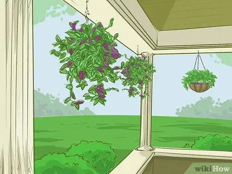 Imagen titulada Choose Outdoor Hanging Plants Step 9