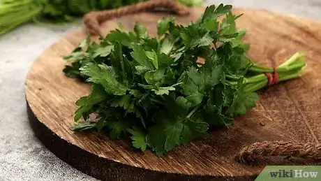 Imagen titulada Freeze Cilantro Step 1