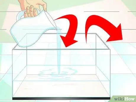 Imagen titulada Keep Aquarium Water Clear Step 6