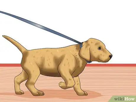 Imagen titulada Obedience Train Your Puppy Before It's 10 Weeks Old Step 10