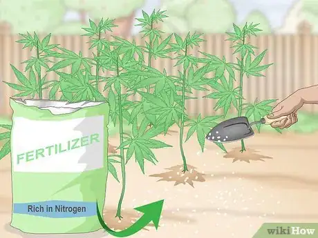 Imagen titulada Grow Hemp Step 5