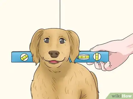 Imagen titulada Measure Dog Height Step 3