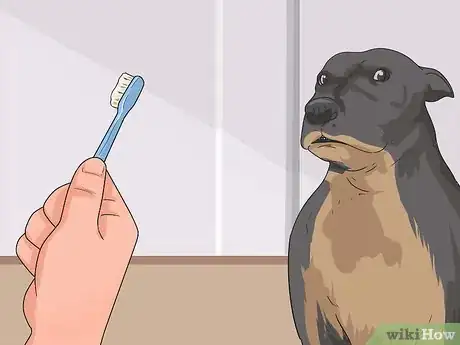 Imagen titulada Teach a Dog to Smile Step 6