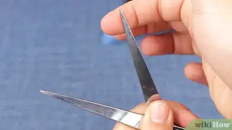 Imagen titulada Cut Dog Hair with Scissors Step 2