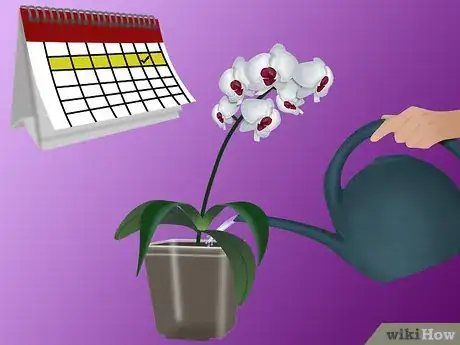 Imagen titulada Grow Orchids Step 10