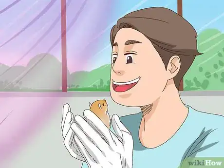 Imagen titulada React when Your Gerbil Bites or Scratches Step 8