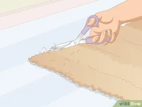 Imagen titulada Clean a Jute Rug Step 3