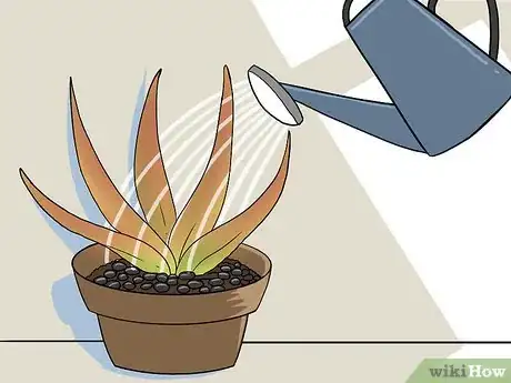 Imagen titulada Revive a Dying Aloe Vera Plant Step 13