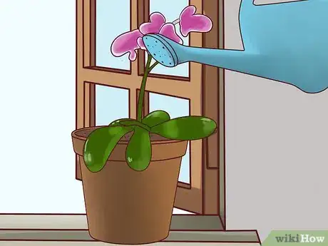 Imagen titulada Care for an Orchid Indoors Step 7