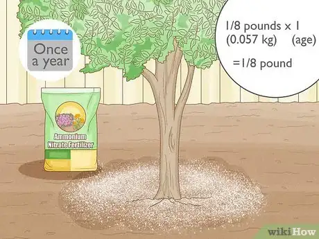 Imagen titulada Grow Pear Trees from Seed Step 22