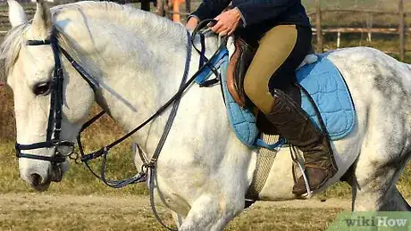 Imagen titulada Steer a Horse With Only Your Legs Step 4