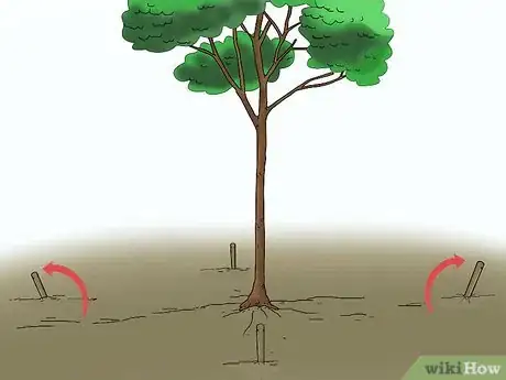 Imagen titulada Stake up a Bush or Tree Step 11