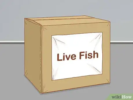 Imagen titulada Bag and Ship Live Fish Step 10