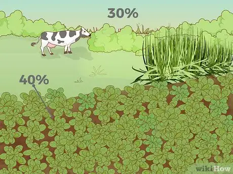 Imagen titulada Prevent Soil Erosion Step 9