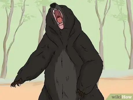 Imagen titulada Survive a Bear Attack Step 3