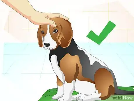 Imagen titulada Get Your Dog to Take His Medicine Step 6