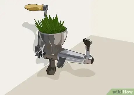 Imagen titulada Juice Wheatgrass Step 5