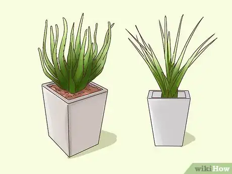 Imagen titulada Choose Plants for Good Feng Shui Step 4