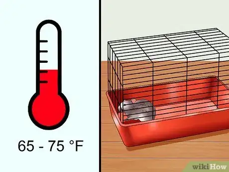 Imagen titulada Care for a Russian Dwarf Hamster Step 4