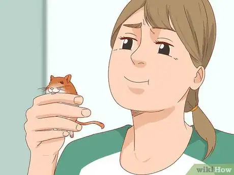 Imagen titulada React when Your Gerbil Bites or Scratches Step 2