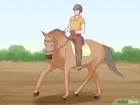 Imagen titulada Begin Horseback Riding Step 17