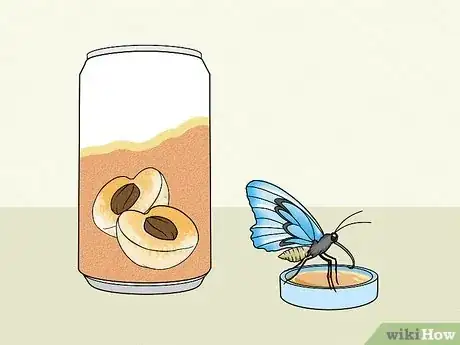 Imagen titulada Make a Butterfly Feeder Step 7