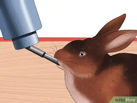 Imagen titulada Treat Heat Stroke in Rabbits Step 3