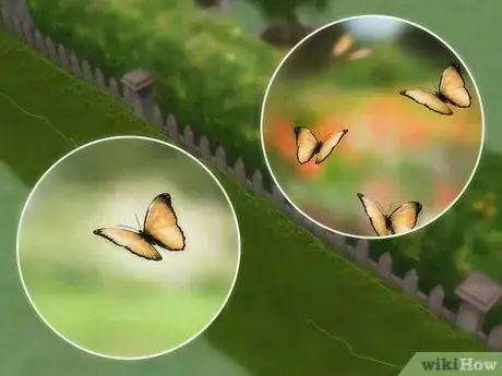 Imagen titulada Attract Butterflies Step 12