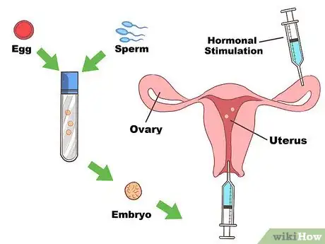 Imagen titulada Freeze Sperm Step 18