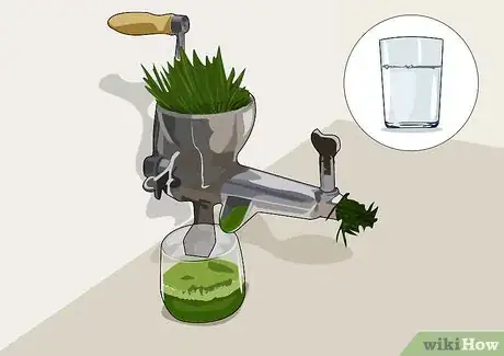 Imagen titulada Juice Wheatgrass Step 7