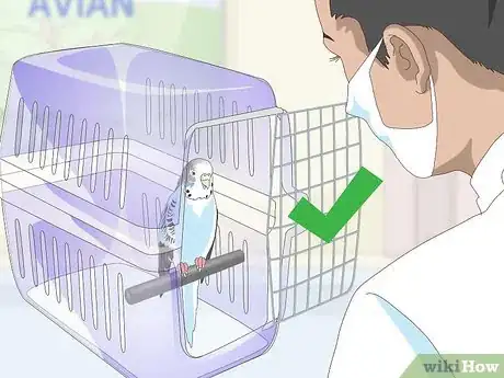 Imagen titulada See if Your Pet Budgie Is Sick Step 13