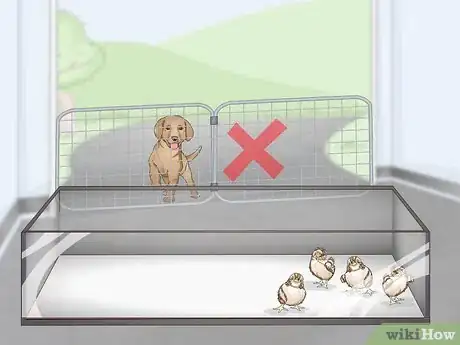 Imagen titulada Care for Quail Chicks Step 3