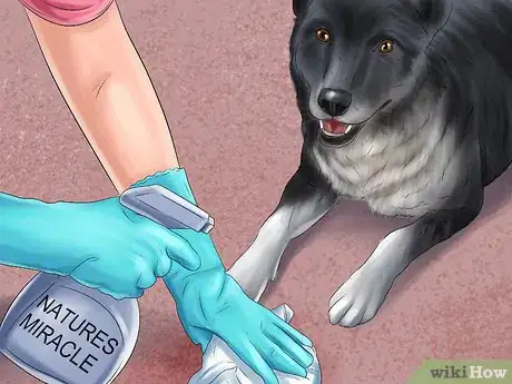 Imagen titulada Get Rid of Dog Urine Smell Step 6