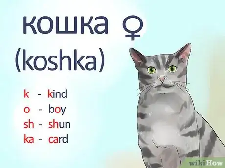 Imagen titulada Say Cat in Russian Step 1