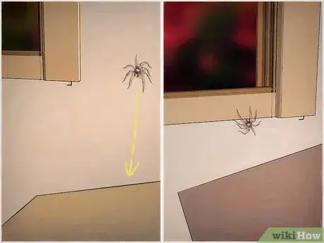 Imagen titulada Kill Spiders when You Have Arachnophobia Step 9