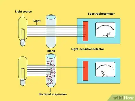 Imagen titulada Measure Bacterial Growth Step 14