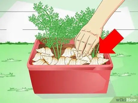 Imagen titulada Keep a Cat out of Potted Plants Step 2