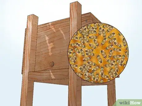 Imagen titulada Attract Bees to a Bee Box Step 12