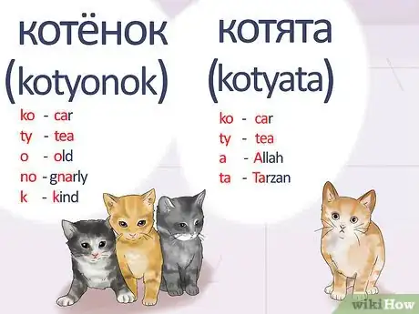 Imagen titulada Say Cat in Russian Step 5