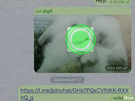 Imagen titulada Save Telegram Gifs on iPhone or iPad Step 3