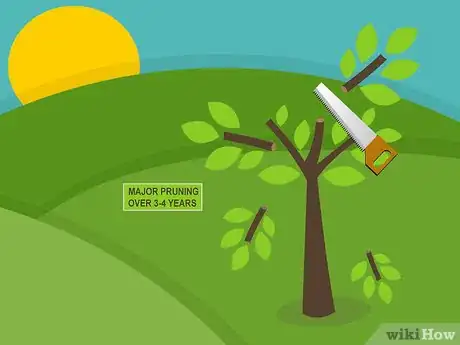 Imagen titulada Care for Mature Apple Trees Step 08