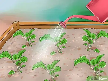 Imagen titulada Water Plants While You're Away Step 14