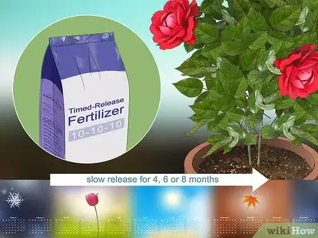 Imagen titulada Fertilize Roses Step 16