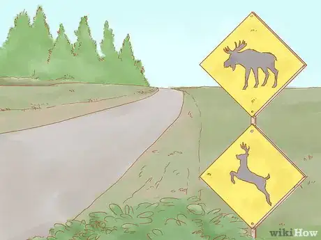 Imagen titulada Avoid a Moose or Deer Collision Step 1