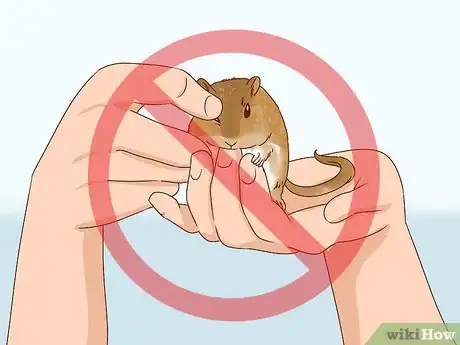 Imagen titulada React when Your Gerbil Bites or Scratches Step 3