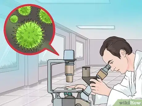 Imagen titulada Know the Difference Between Bacteria and Viruses Step 4