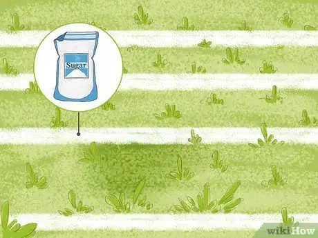 Imagen titulada Get Rid of Nutgrass Step 12